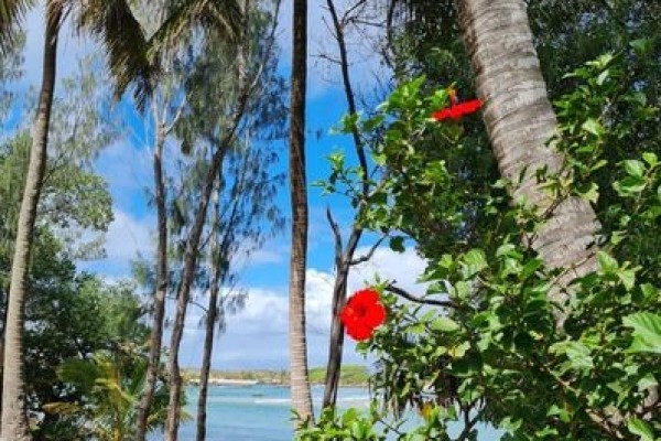 202308s-madagaskar-036962E790A-FBE1-88AD-B328-CA0A212EC943.jpg