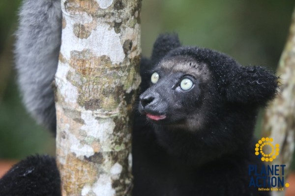 202308t-madagaskar-0948E2FE82C-AEB7-B8FB-24D1-346772C3CF6A.jpg