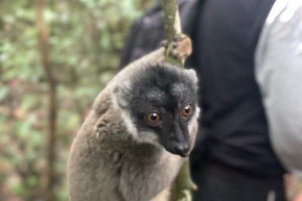 202402-madagaskar-04440D1C59E-569F-7EF1-0797-5C3BA111FA3A.jpg