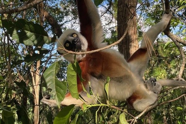 202402-madagaskar-108E2DFD7C6-A9DC-120B-3ECF-A8BC1E8EE2CD.jpg