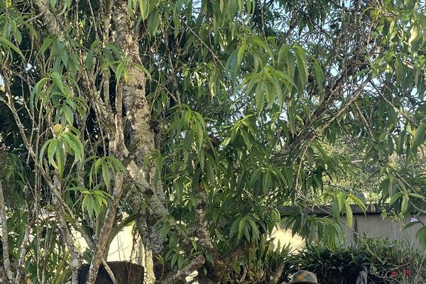 202408-madagaskar-007C359524B-6D3B-881A-F87A-6E0E0EA86548.jpg